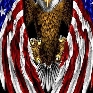 Meet your Posher, Logan